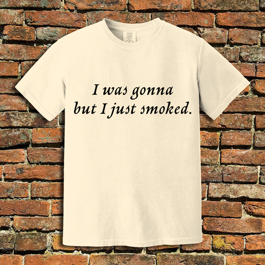 I Was Gonna T-Shirt