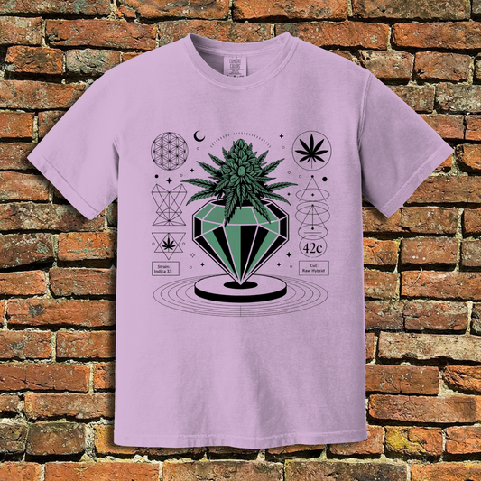 Cannabinoid T-Shirt