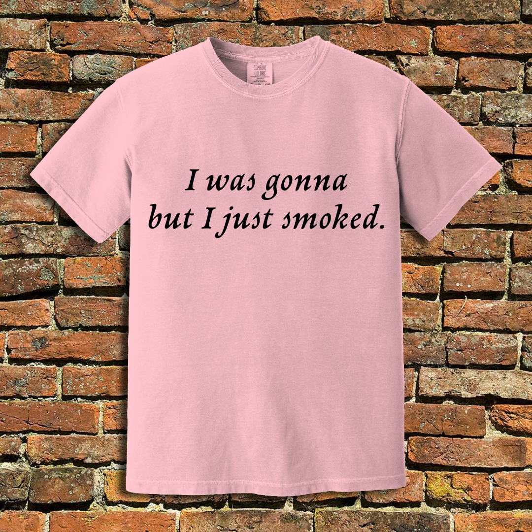 I Was Gonna T-Shirt