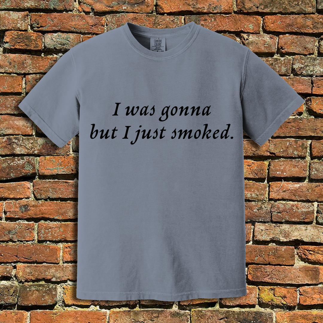 I Was Gonna T-Shirt