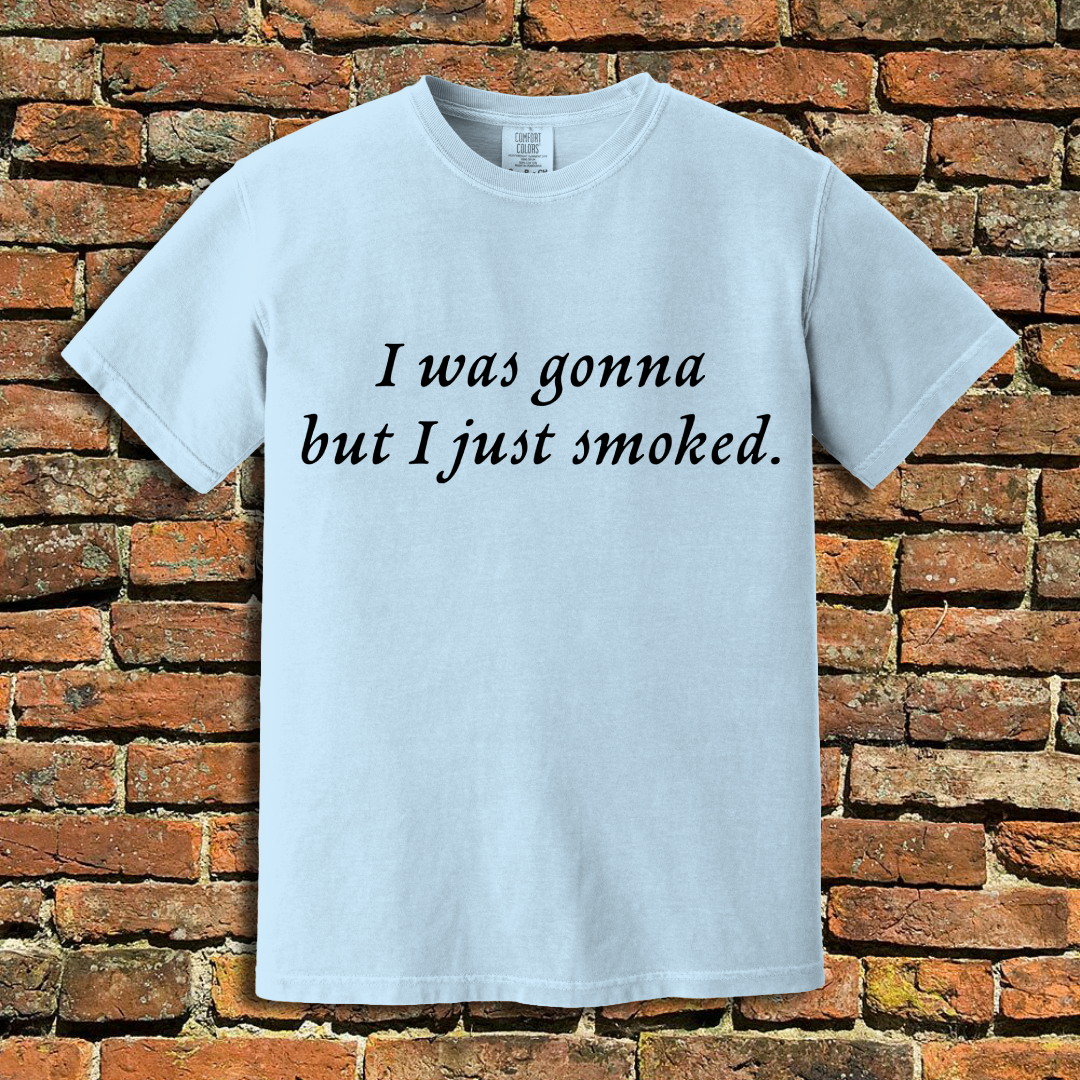 I Was Gonna T-Shirt
