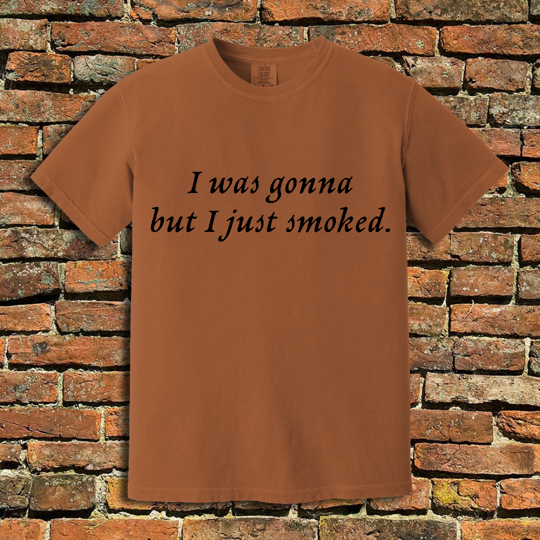 I Was Gonna T-Shirt