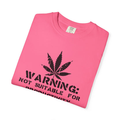 Not Suitable For Productivity T-Shirt