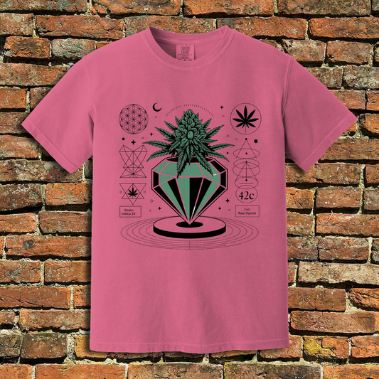 Cannabinoid T-Shirt