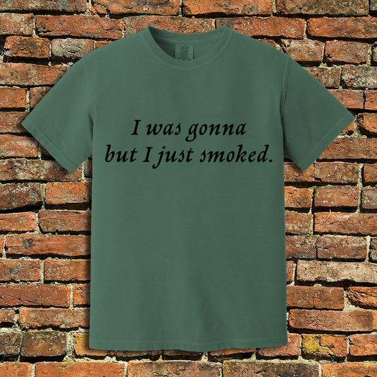 I Was Gonna T-Shirt